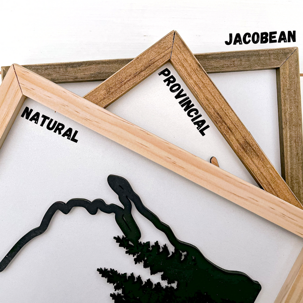 Personalized Colorable Wooden USA Travel Tracker Map with Family Name