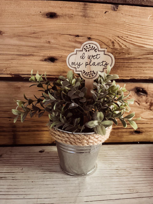 Funny Plant Stake | House Plant Stick | I Wet My Plants