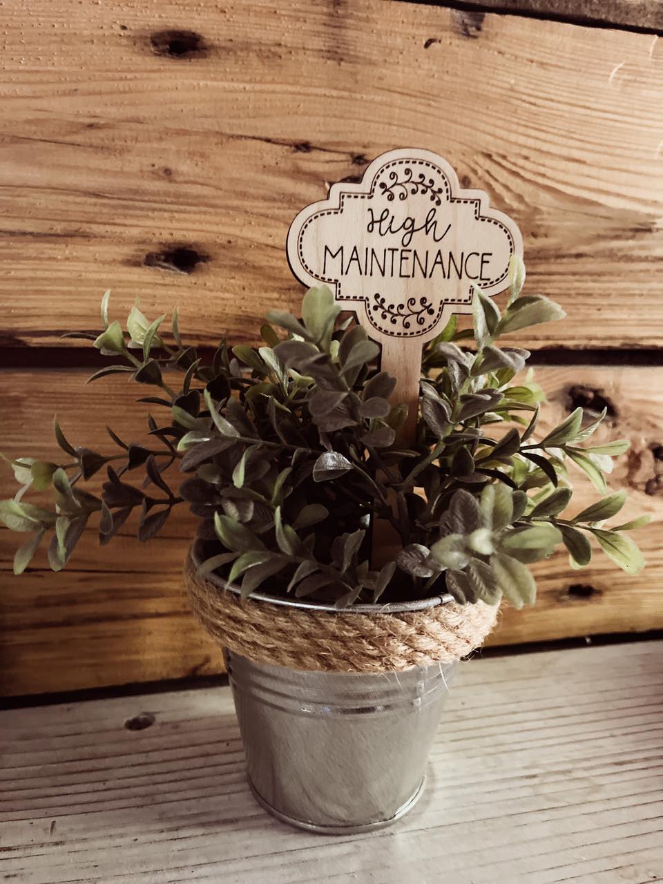Funny Plant Stake | House Plant Stick | I Wet My Plants