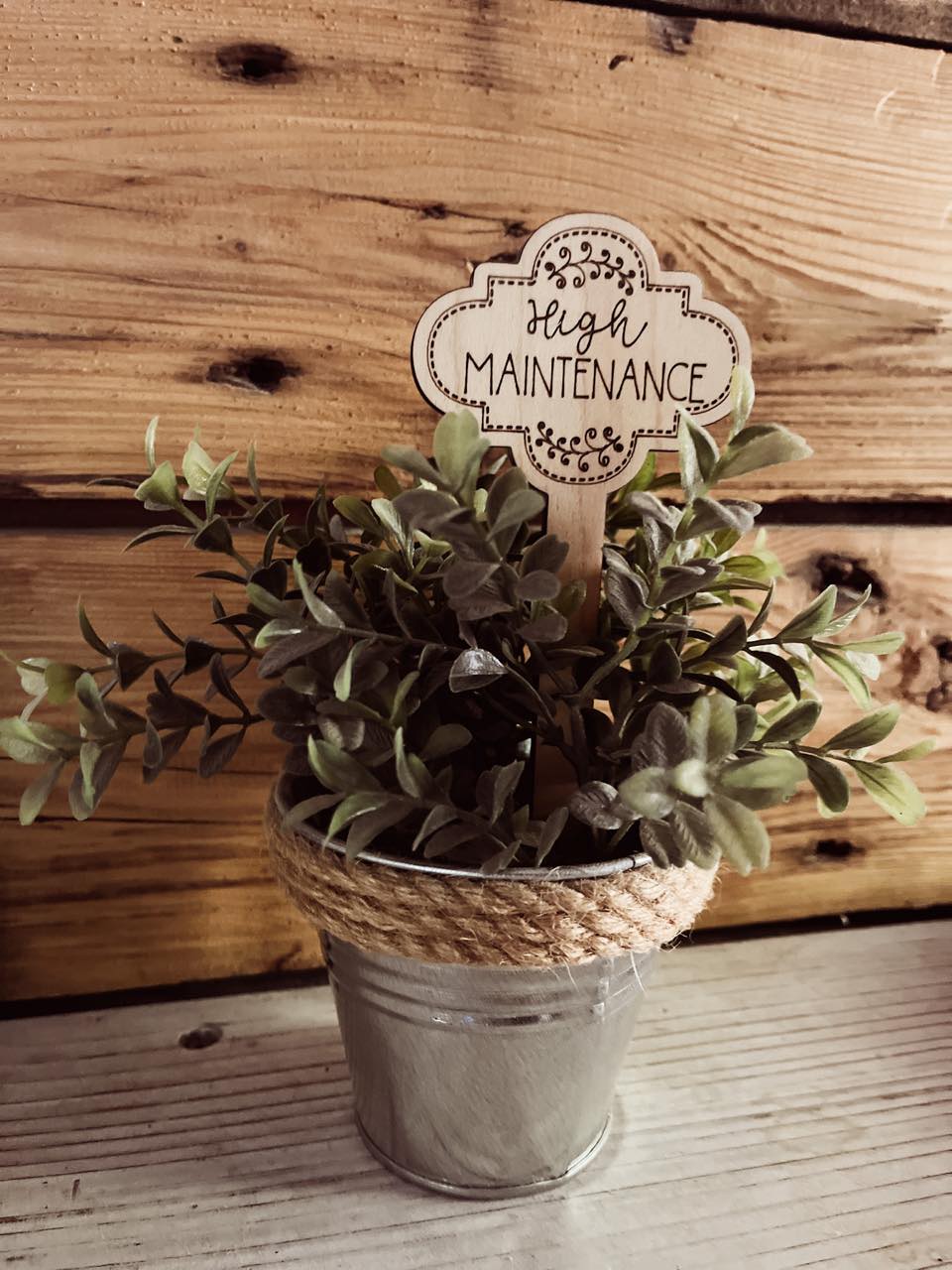 Funny Plant Stake | House Plant Stick | High Maintenance