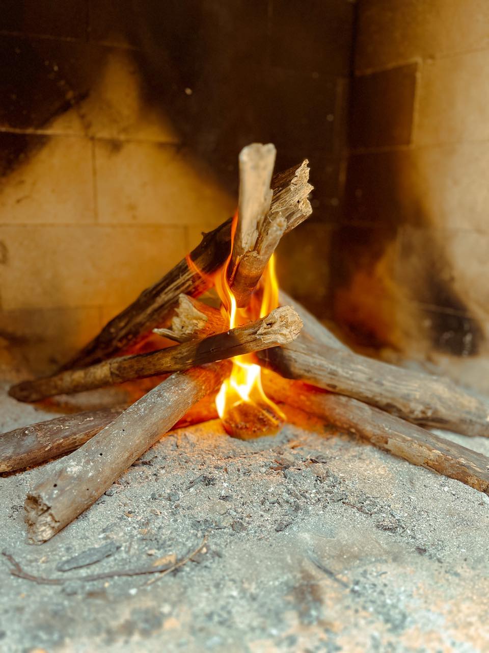 Fire Starters | Evergreen and Cinnamon Fire Starters | Outdoor Fire Starters | Fire Pit Fire Starters | Natural Fire Starters | Sawdust Fire Starters