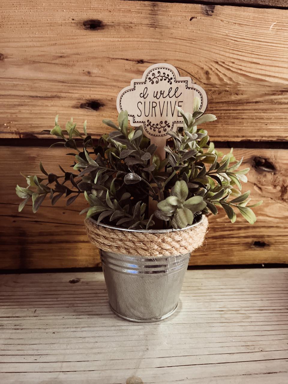 Funny Plant Stake | House Plant Stick | I Will Survive