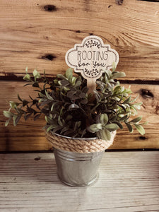 Funny Plant Stake | House Plant Stick | Rooting For You