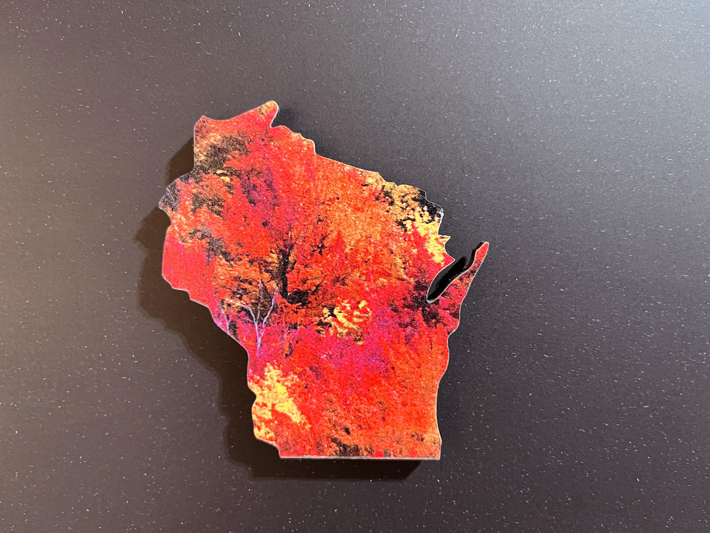 Wisconsin Fall Colors Magnet | Northwoods Fall Colors Trees
