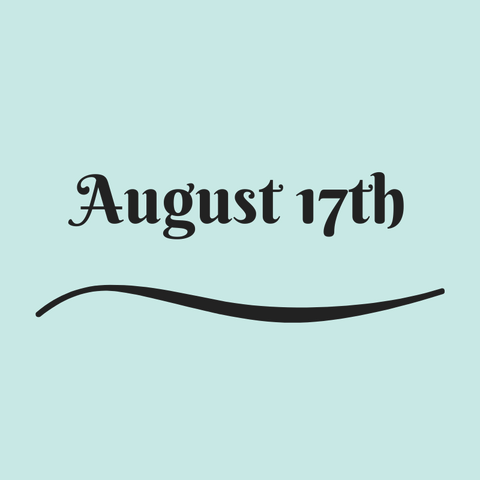 Workshop August 17th