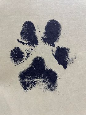 Pet Paw Print Memorial Sign | Dog Print | Home Pet Sign | Wood Signs | Wood Wall Art