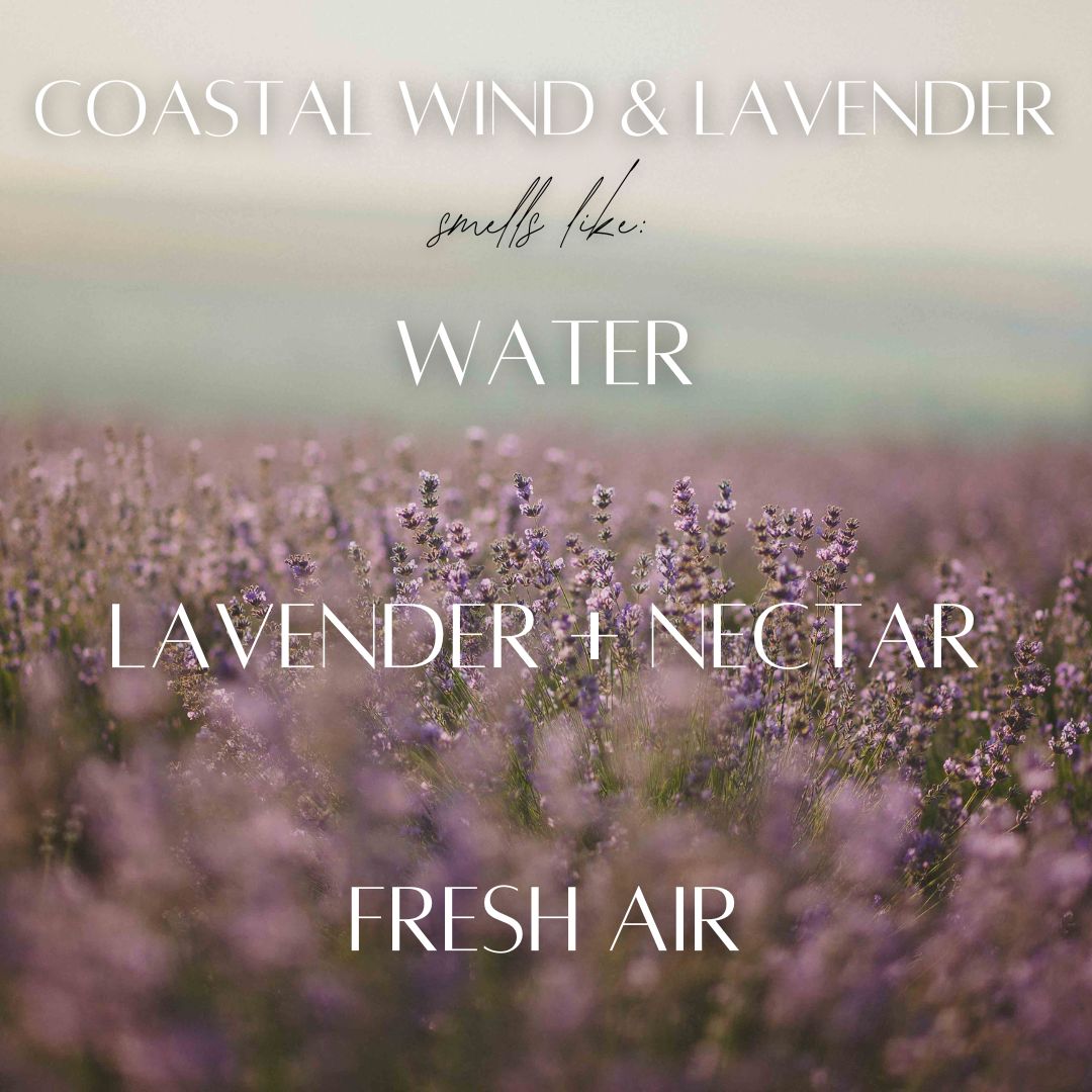 Coastal Wind & Lavender Reed Diffuser