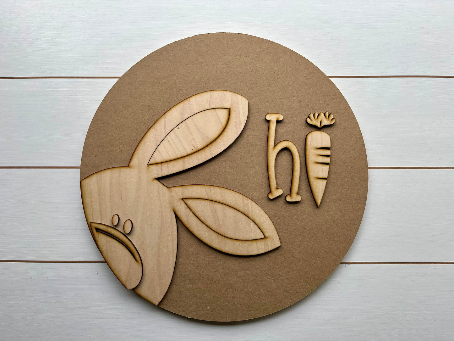 Easter Bunny DIY Sign Kit | DIY Paint Party Set | Spring Round Door Hanger Sign