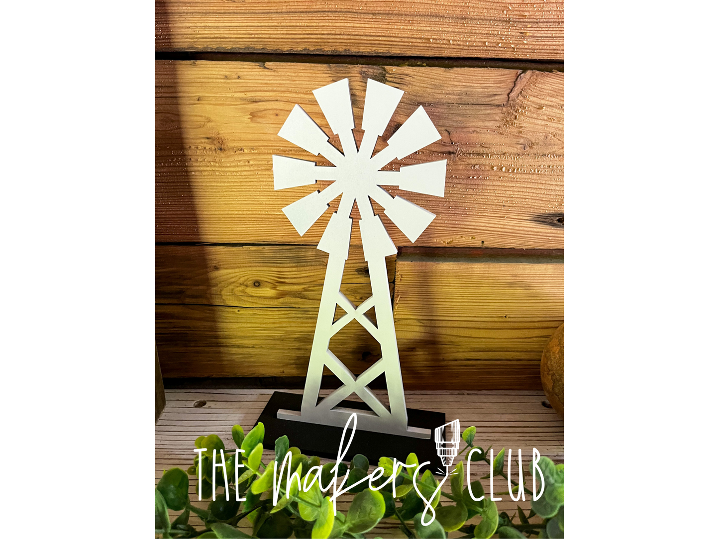 SVG Subscription Club (June)